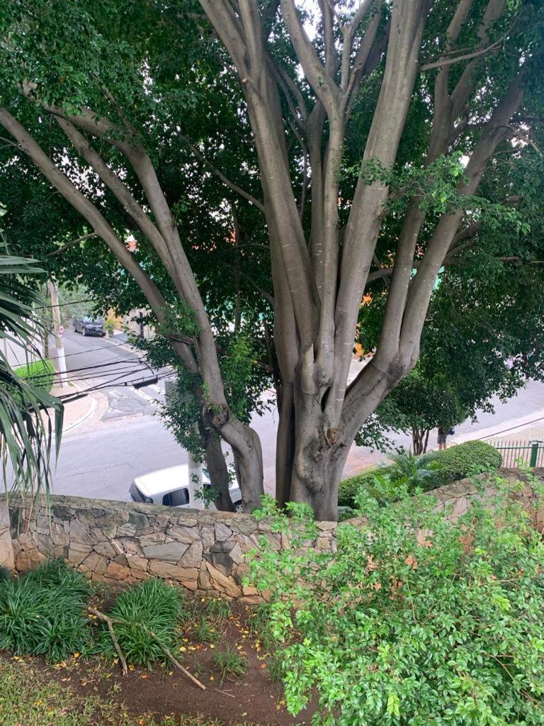 Apartamento Royal Ibirapuera Park